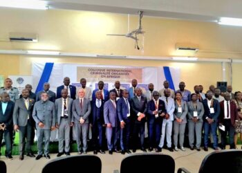 Criminalité organisée en Afrique