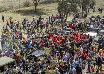 les pleureurs professionnels