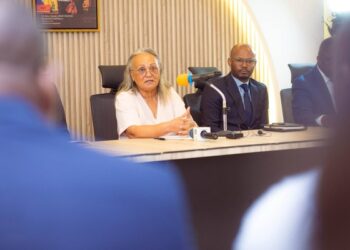 élections professionnelles au Gabon