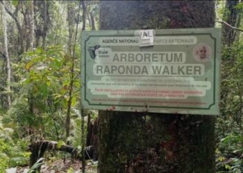 Arborétum Raponda Walker : le déclassement partiel qui inquiète les défenseurs de la biodiversité à Libreville