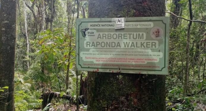 Arborétum Raponda Walker : le déclassement partiel qui inquiète les défenseurs de la biodiversité à Libreville