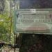 Arborétum Raponda Walker : le déclassement partiel qui inquiète les défenseurs de la biodiversité à Libreville