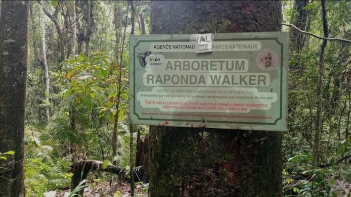 Le Gabon déclasse partiellement l'Arborétum Raponda Walker  © D.R.