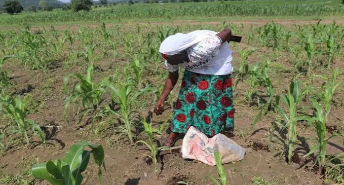 Agriculture biologique