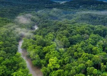 Congo 223 milliards de dollars