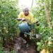 Agriculture