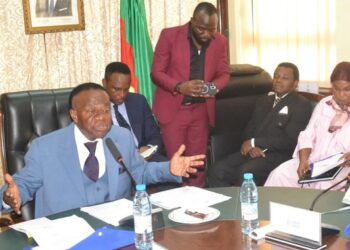 Dette académique du Cameroun