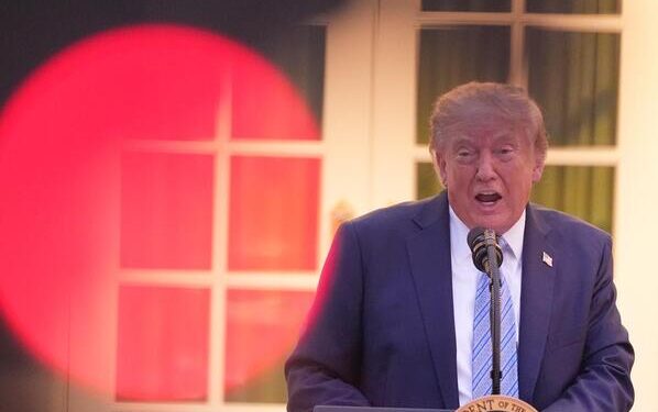 CNN